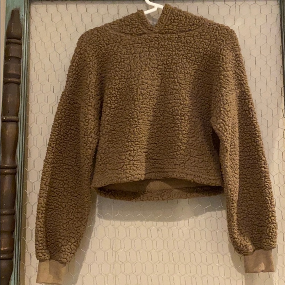 Cropped teddy bear sweatshirt!